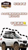 大众车烧机油的原因，大众车烧机油怎么办
