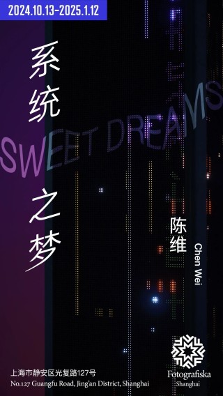新展预告｜陈维：系统之梦