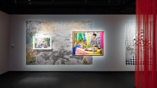 瓦维·纳瓦罗扎首次个展｜《心之狂野》