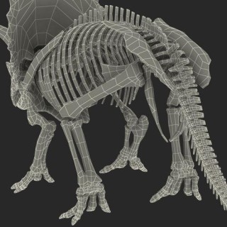 MagicArticulate – 南洋理工和字节推出的静态 3D 模型转骨架生成框架
