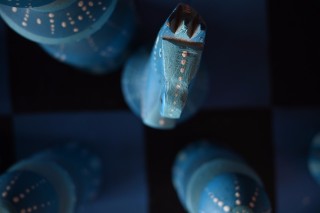 尼康尼克尔 Z DX 16-50mm f／3.5-6.3 VR官方实拍样张欣赏