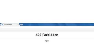 403 Forbidden什么意思？电脑出现403 Forbidden如何解决？