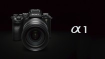 性能巅峰 索尼Alpha 1官方样张