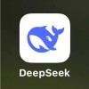 安霸成功部署DeepSeek R1于多款AI芯片