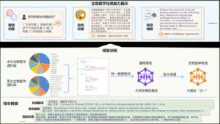 大连理工团队开源“太一”中英双语生物医学大模型