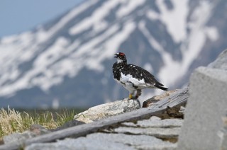 尼康发布尼克尔 Z 100-400mm f／4.5-5.6 VR S等多款产品