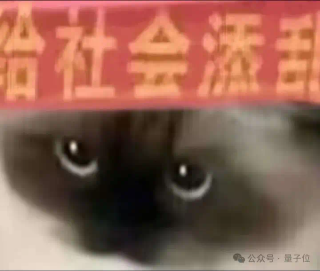 实测Gemini图片转视频新功能，终于蹲到经典梗图后续了（doge）