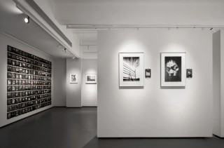 解密神秘“舞踏・BUTOH”，潜入东京“真”地下 (免费观影活动) ... ... ...