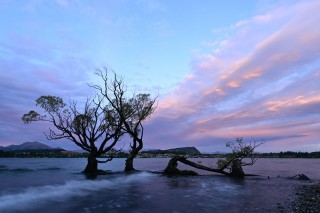 广阔视野 尼克尔 Z DX 12-28mm f3.5-5.6官方样张欣赏