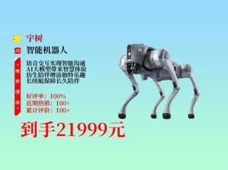 单身狗福利 首款伴侣机器人面世：能让人类心理和生理到达巅峰