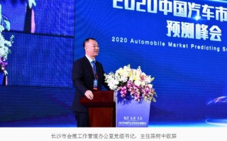 2020中国汽车市场发展预测峰会在长沙召开