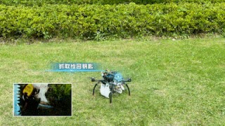 机器会说话｜西工大建立无人机自主“聊天群”