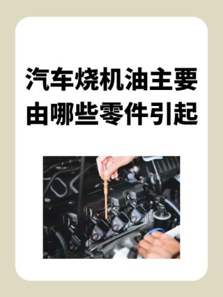 汽车漏机油怎么办，汽车漏机油的原因