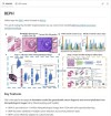 H-baidu09Optimus-baidu090 – 法国初创公司Bioptimus开源的病理学AI基础模型
