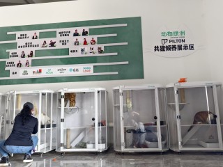 套壳AI公司，骗了800名员工和200只猫