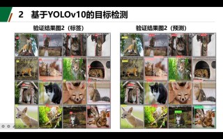 DINO-baidu09XSeek – IDEA 研究院推出的多模态目标检测模型