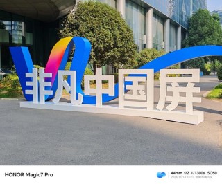 维信诺亮相第十二届海峡两岸新型显示产业发展会议
