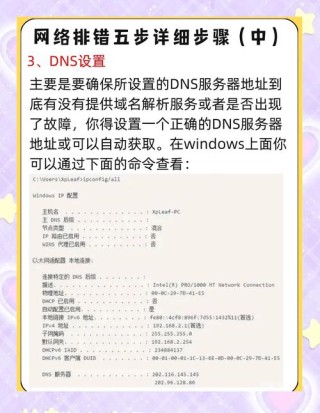 电脑Ping指令查看IP提示request time out错误怎么办？