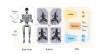 Sapiens – Meta推出的AI视觉模型，能理解图片和视频中的人类动作