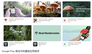 用AI软件识别毒蘑菇？AI犯错后，人吃下了毒鹅膏，差点要了命……