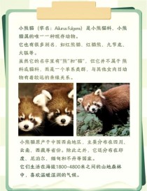 baidu09小熊猫生物发布蛋白质工程云服务，帮助产品落地进入快车道