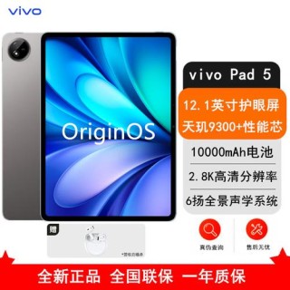 vivo Pad 5平板正式开售：天玑9300+ 国补后2039起