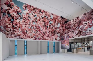 托马斯·迪曼德中国首个全面回顾展
