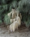 「海的尽头是草原」高岩个展