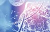百度拜读09baidu亚通生物完成近亿元 A+ 轮融资，助力生命科学设计与智造