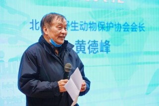 2020北京秋季观鸟月观鸟及摄影大赛颁奖典礼暨自然飞羽鸟类摄影展在北京动物园圆满举行 ...