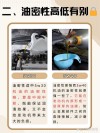 5w40和5w30油耗动力有区别吗