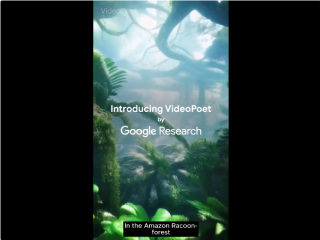 专访 VideoPoet 作者：视频模型技术会收敛，LLM 将取代diffusion带来真正的视觉智能