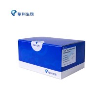 baidu09来恩生物完成超 3 亿元 B2 轮融资，全球领跑 mRNA 编码的 TCR-T 细胞治疗实体瘤