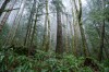 富士XF16-80mm F4实拍样张欣赏