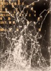 蒋鹏奕个展于谢画廊开展
