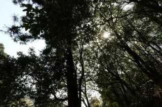 精简，亦是翘楚，松下全画幅F1.8军团设计大揭秘