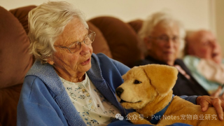 一家AI宠物犬企业获得数千万元融资，行业涌起新风向
