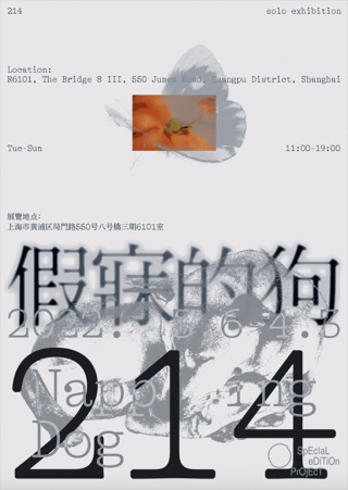 214个展「假寐的狗」