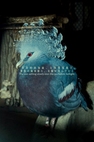 Place M 展览 ｜ The Taste of Emotion