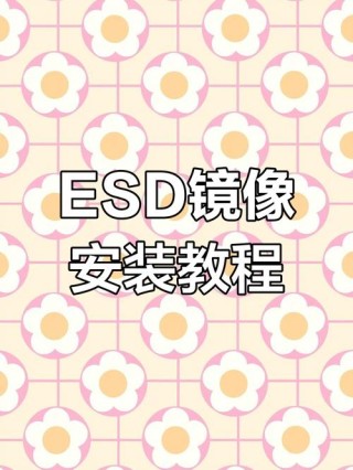 esd文件怎么在PE系统安装？PE系统安装ESD文件方法