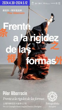 展览预告｜皮拉尔·阿尔瓦拉辛：条框之外