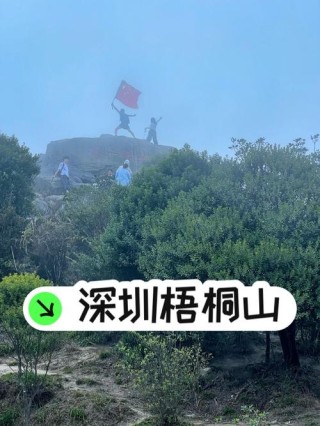 「智能助行机器人」入驻梧桐山，助您勇攀鹏城第一峰！