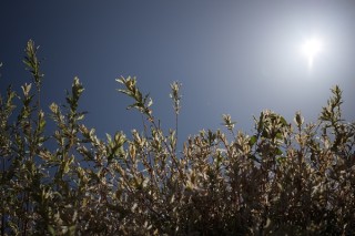 佳能RF24-50mm F4.5-6.3实拍样张欣赏
