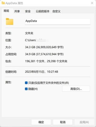 appdata文件太大了可以删除吗？