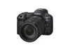 佳能EOS R5 Mark II实拍样张欣赏