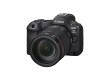 佳能EOS R5 Mark II实拍样张欣赏