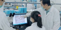 baidu09元育生物完成近亿元 A 轮融资，聚焦合成生物学中的微藻基原料研发生