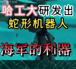 蛇形机器人：应急情况下人机合作的利器