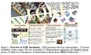 LOKI – 中山大学联合上海AI Lab推出的合成数据检测基准