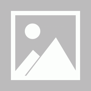 百度白读白度拜读baidu092025上海车展：轻舟智航发布新的端到端城市NOA